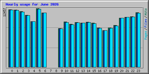 Hourly usage for June 2026