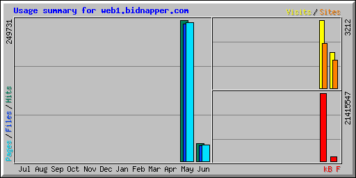 Usage summary for web1.bidnapper.com